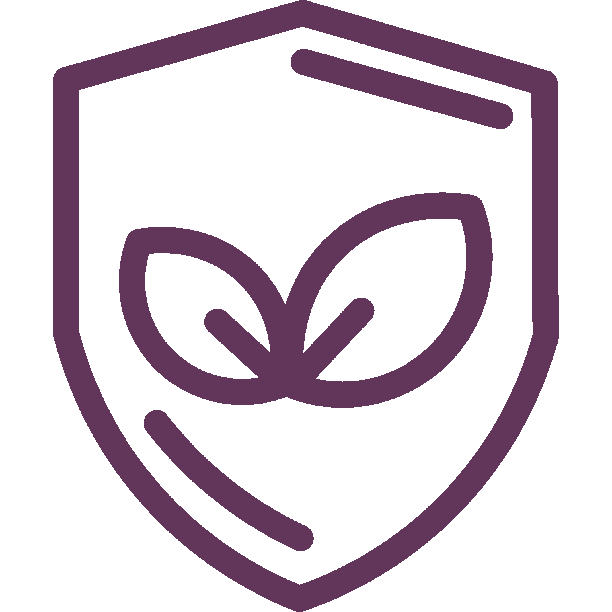 Prevention of soil degradation and plants stronger then before